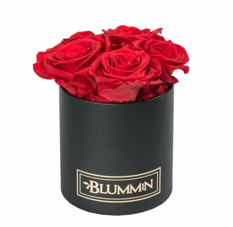 MIDI BLUMMiN - musta laatikko, jossa 5 VIBRANT PUNAISET ruusut, NUKKUVAT Ruusut